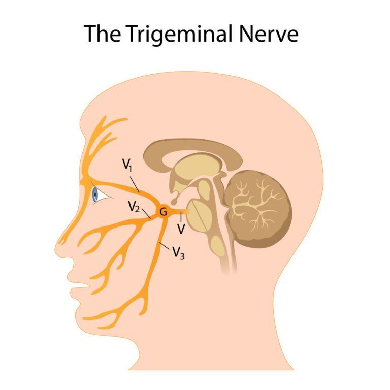 Trigeminal Neuralgia Delaware Valley Pain Spine Institutechalfont Pain Management Delaware Valley Pain Spine Institute