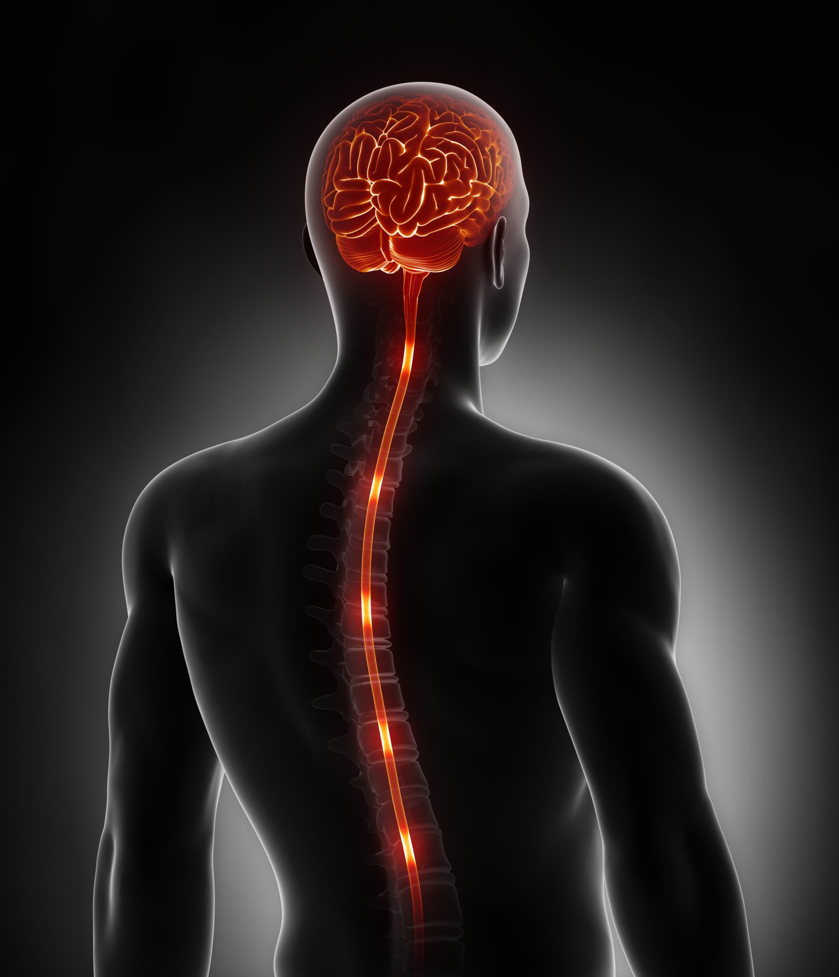 Spinal Cord Stimulation » Chalfont Pain Management | Delaware Valley