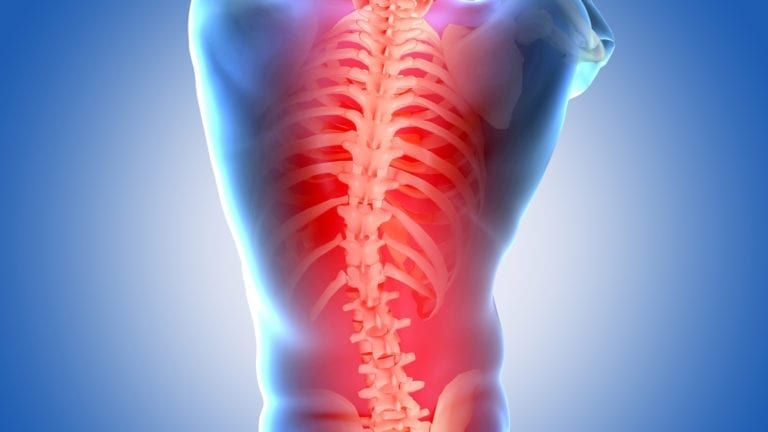 Why Does My Back Hurt? - Delaware Valley Pain & Spine InstituteChalfont